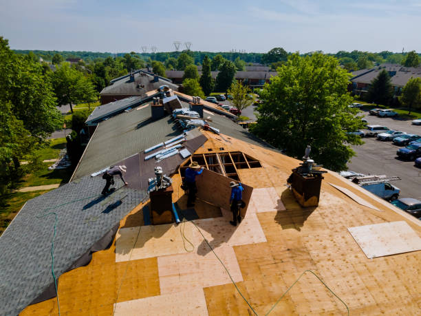 Best Metal Roofing Contractor  in Meridian, PA